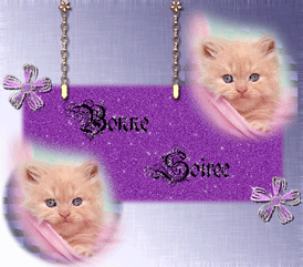 Gif animé bonne soirée chat